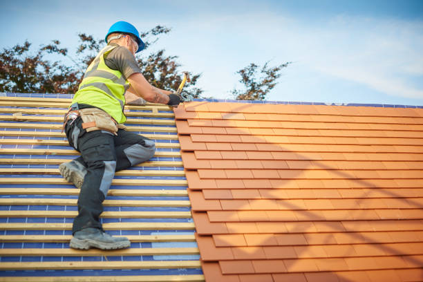 Best Solar Panel Roofing Installation  in Louisville, TN